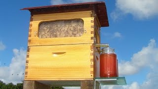 Honeyflow2