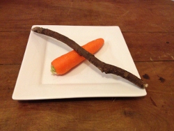 carrotstick