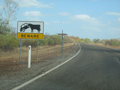 cowsign1