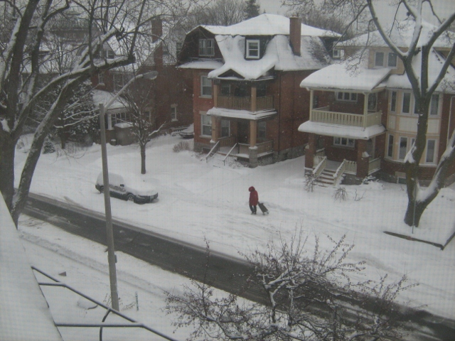 It can be lonely out in the cold