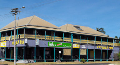 purplepub1